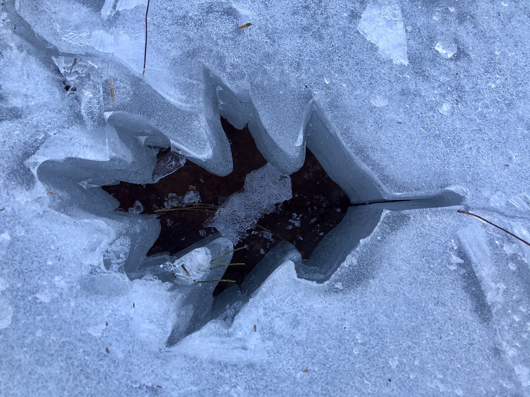 Une feuille morte posée sur de la glace a creusé sa forme en faisant fondre la glace sous elle