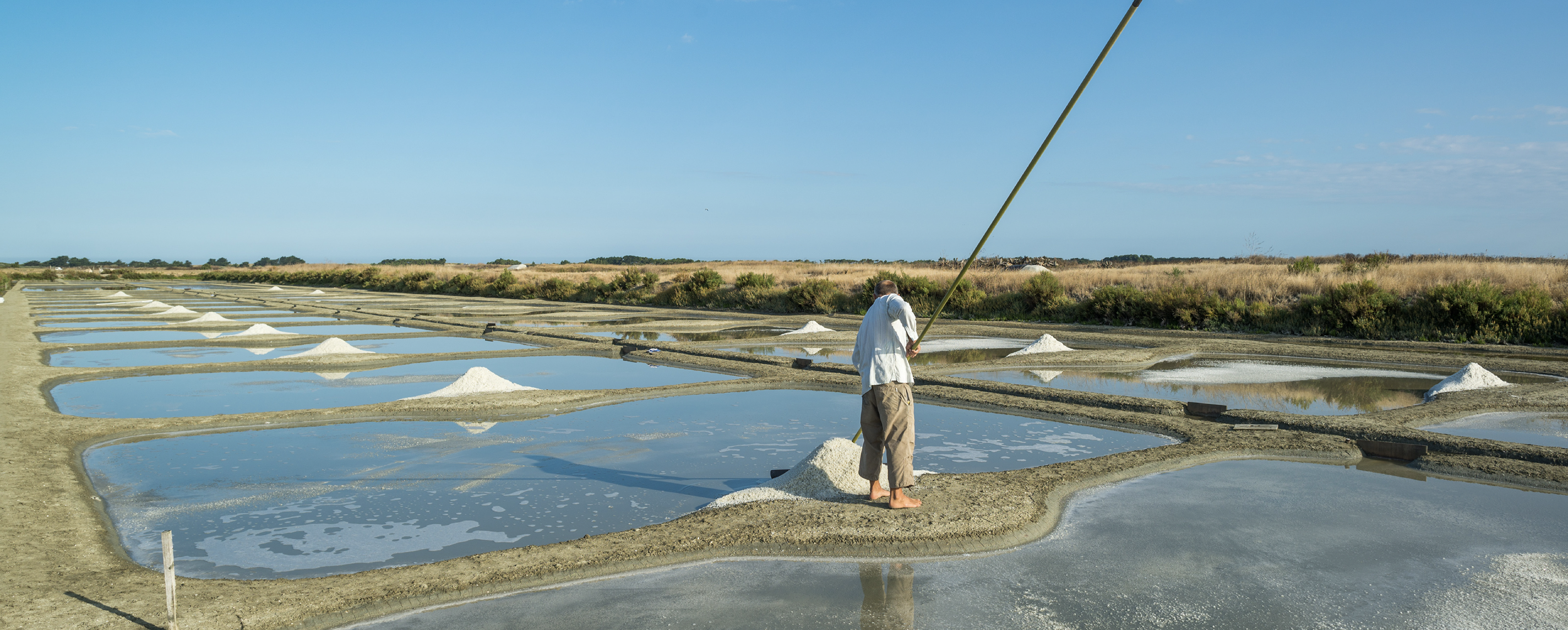 Des marais salants : des bassins d'eau de mer peu profonds et des tas de sel récolté